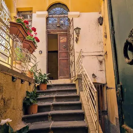 Nuovo Piccolo Gellia *